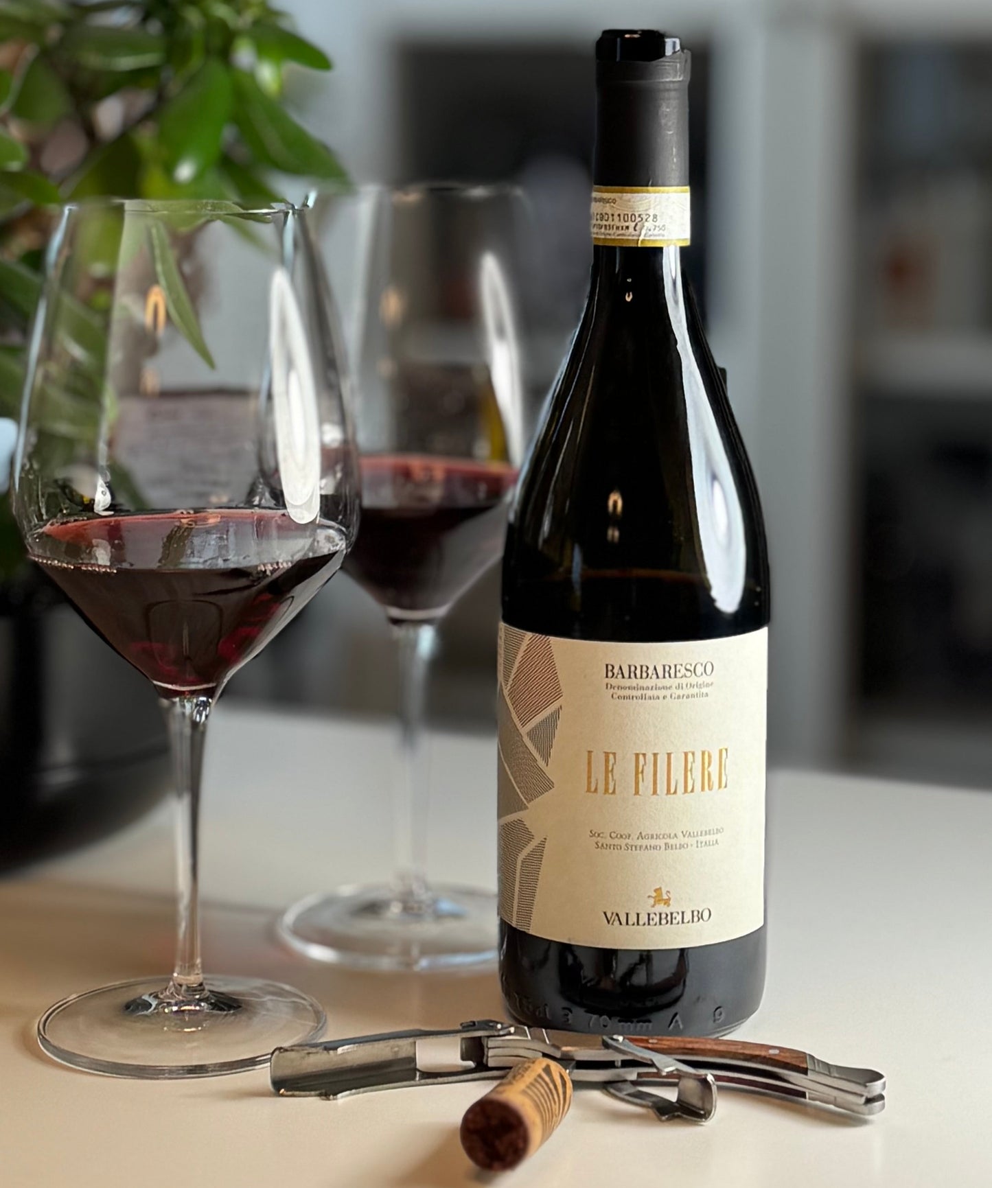 Vallebelbo, Le Filere Barbaresco DOCG 2020