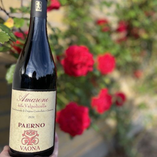A bottle of Vaona Amarone della Valpolicella Classico wine standing upright in the foreground, with a soft, beautifully blurred background of a red rose bush.