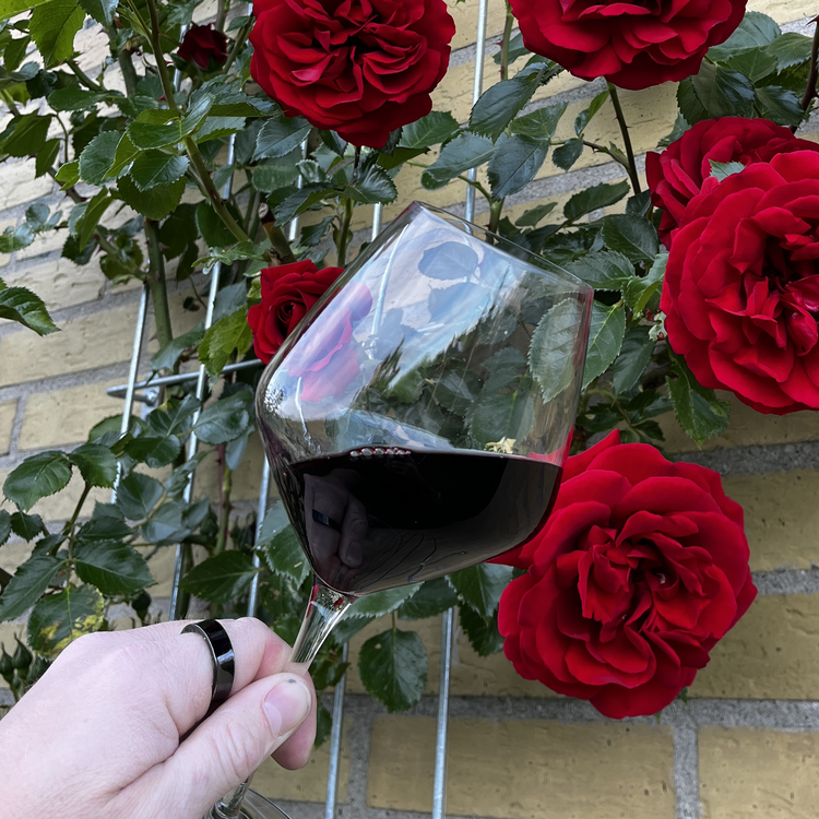 A clear close-up of a hand holding a glass filled with deep red Vaona wine, framed by a completely sharp, non-blurry background of a blossoming red rose bush.