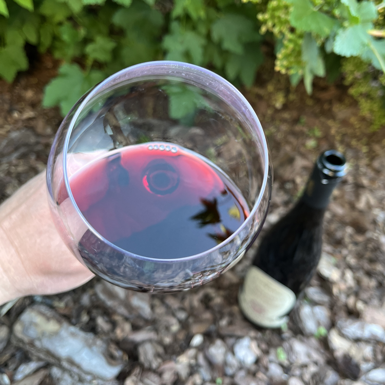 Vaona – Organic Valpolicella Wines