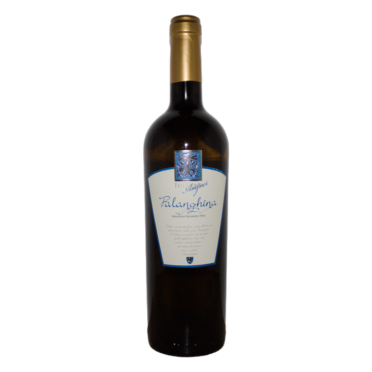 Agricole Selvi Tenimenti Amjnei Falanghina IGT