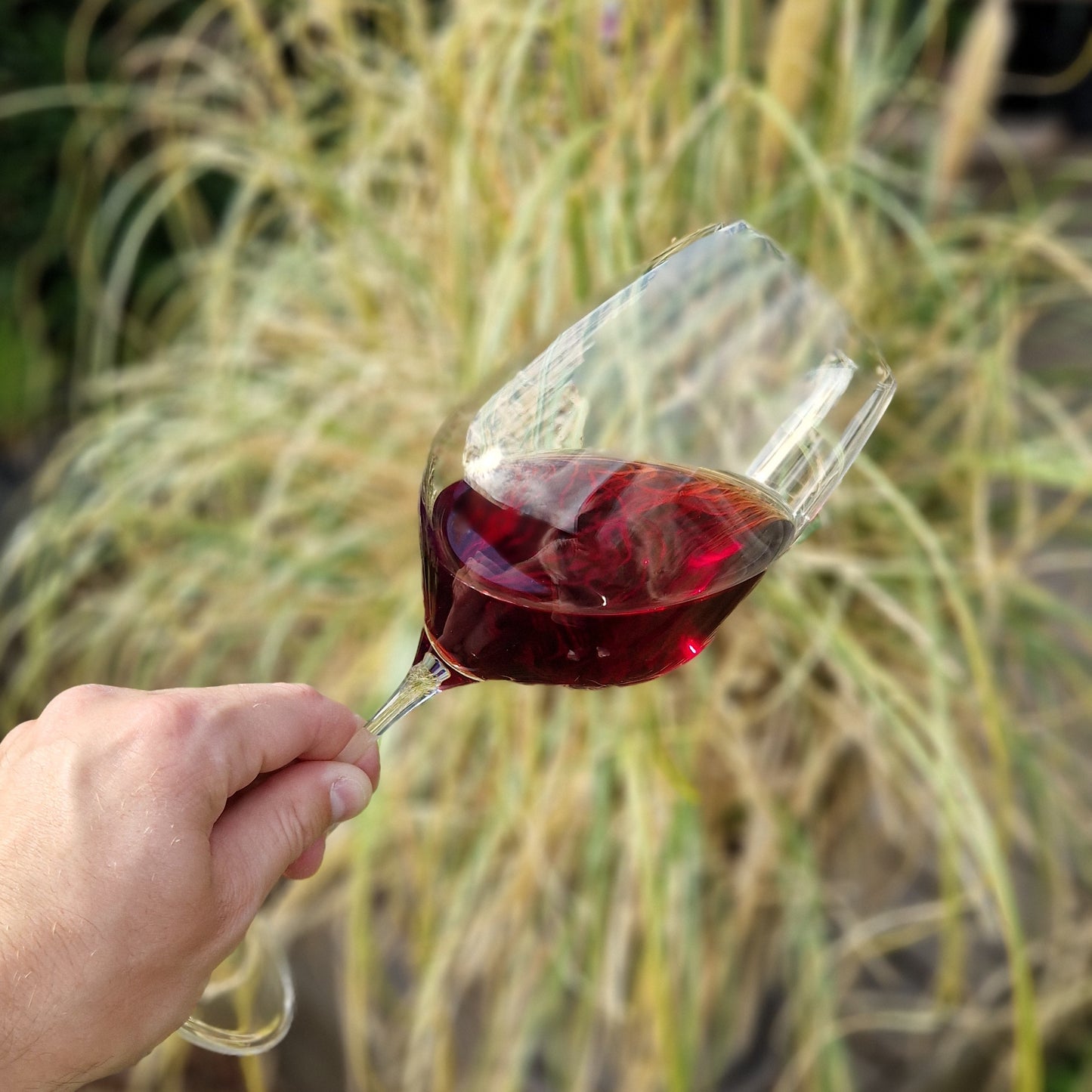 Bardolino Classico DOC