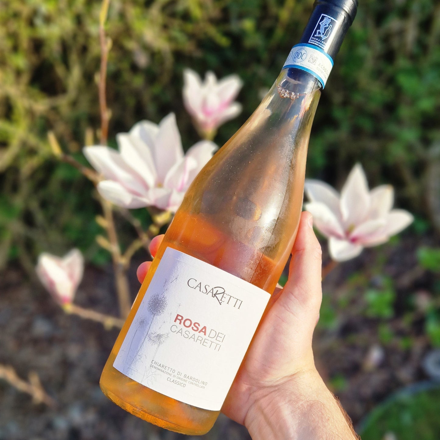 Rosa dei Casaretti DOC