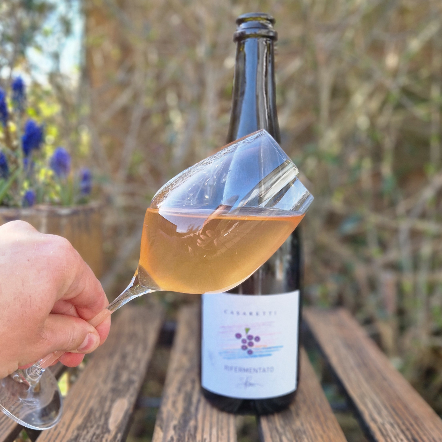 Verona Rosato Frizzante IGT