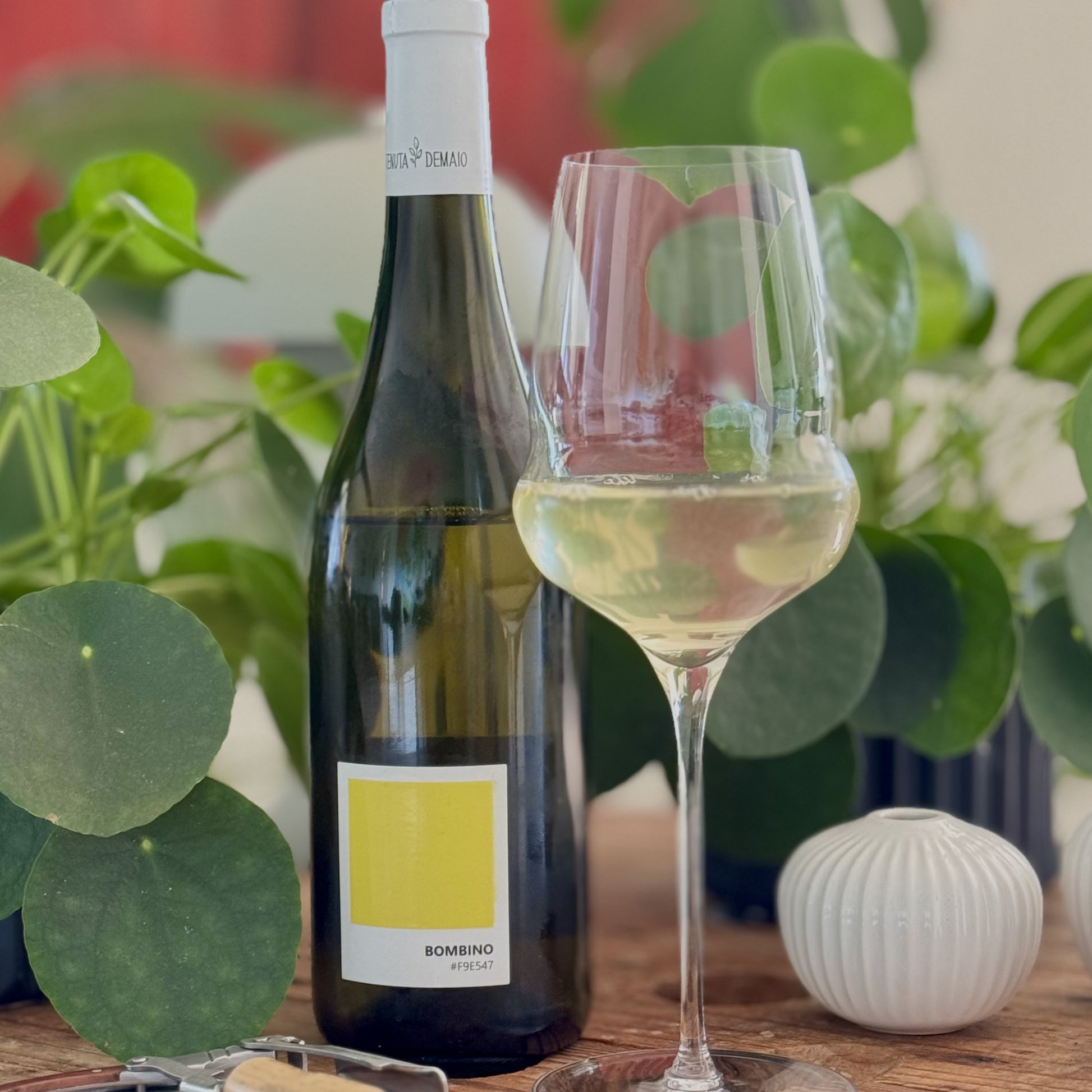 Bottle of white wine and a glass with plants in the background