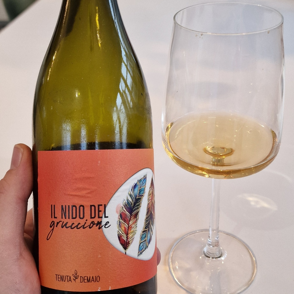 Il Nido del Gruccione Fiano Macerato - Authentic Italian skin-contact white wine