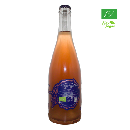 Technical back label for Tenuta Demaio Man On Mars IGT - Nutrition and ingredients
