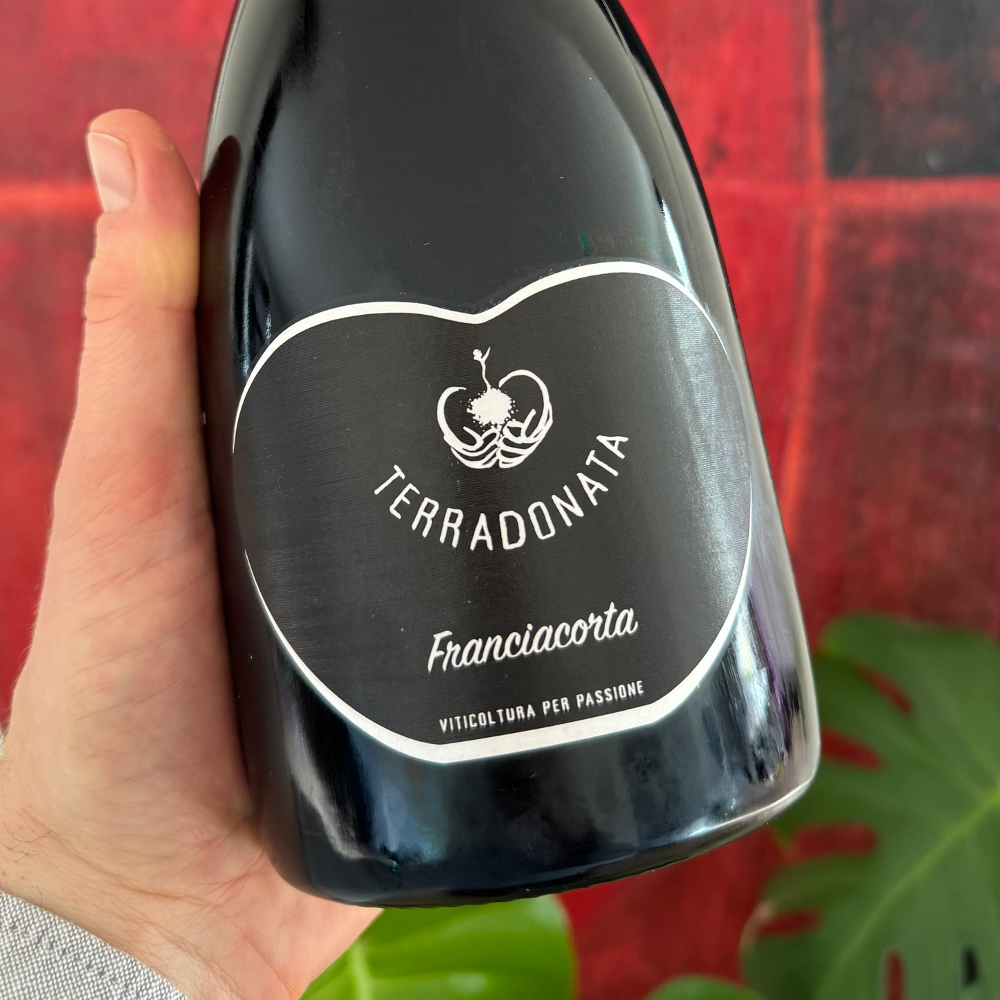 Terra Donata, Blanc de Noirs 2023 (March)