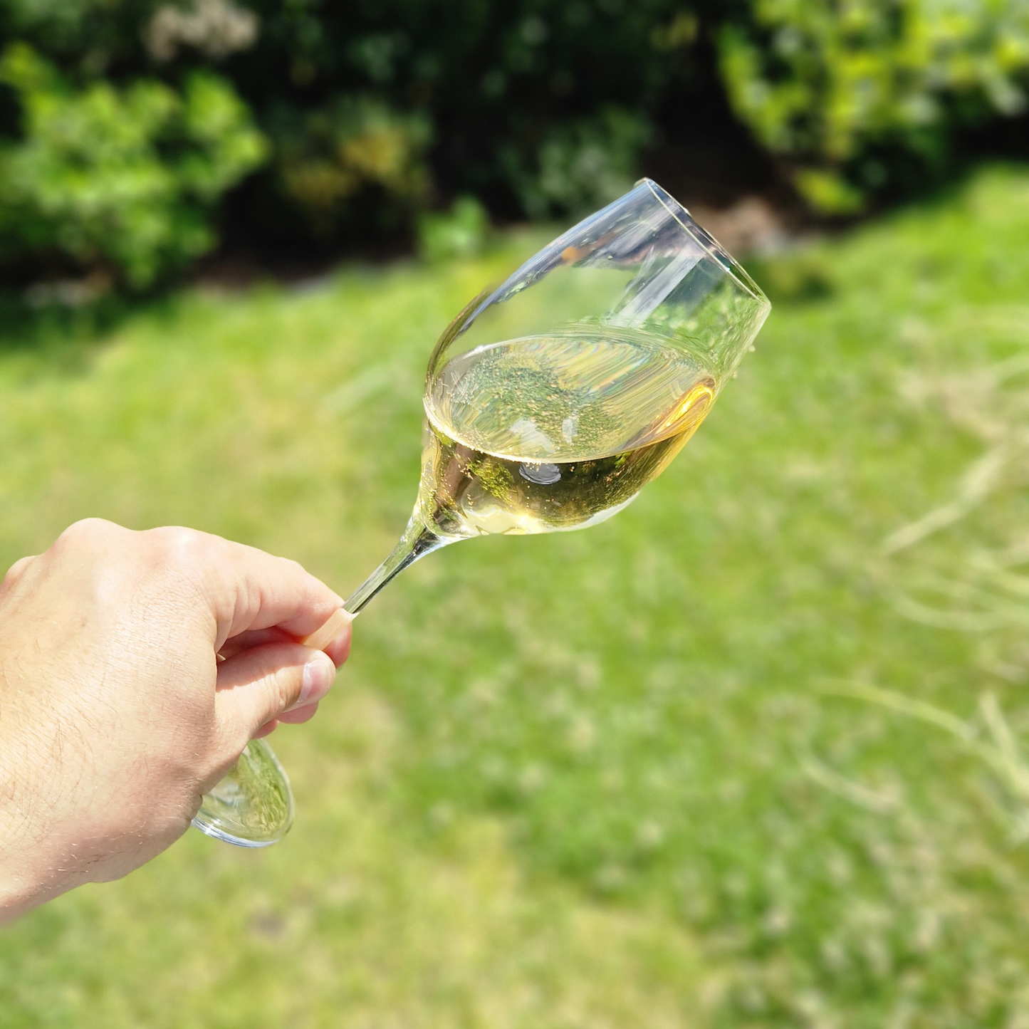 Terra Donata, Blanc de Noirs 2023 (March)