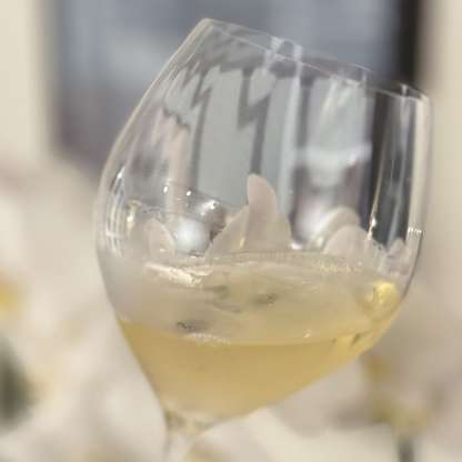 Pale Straw Yellow Langhe Chardonnay White Wine with Greenish Reflections