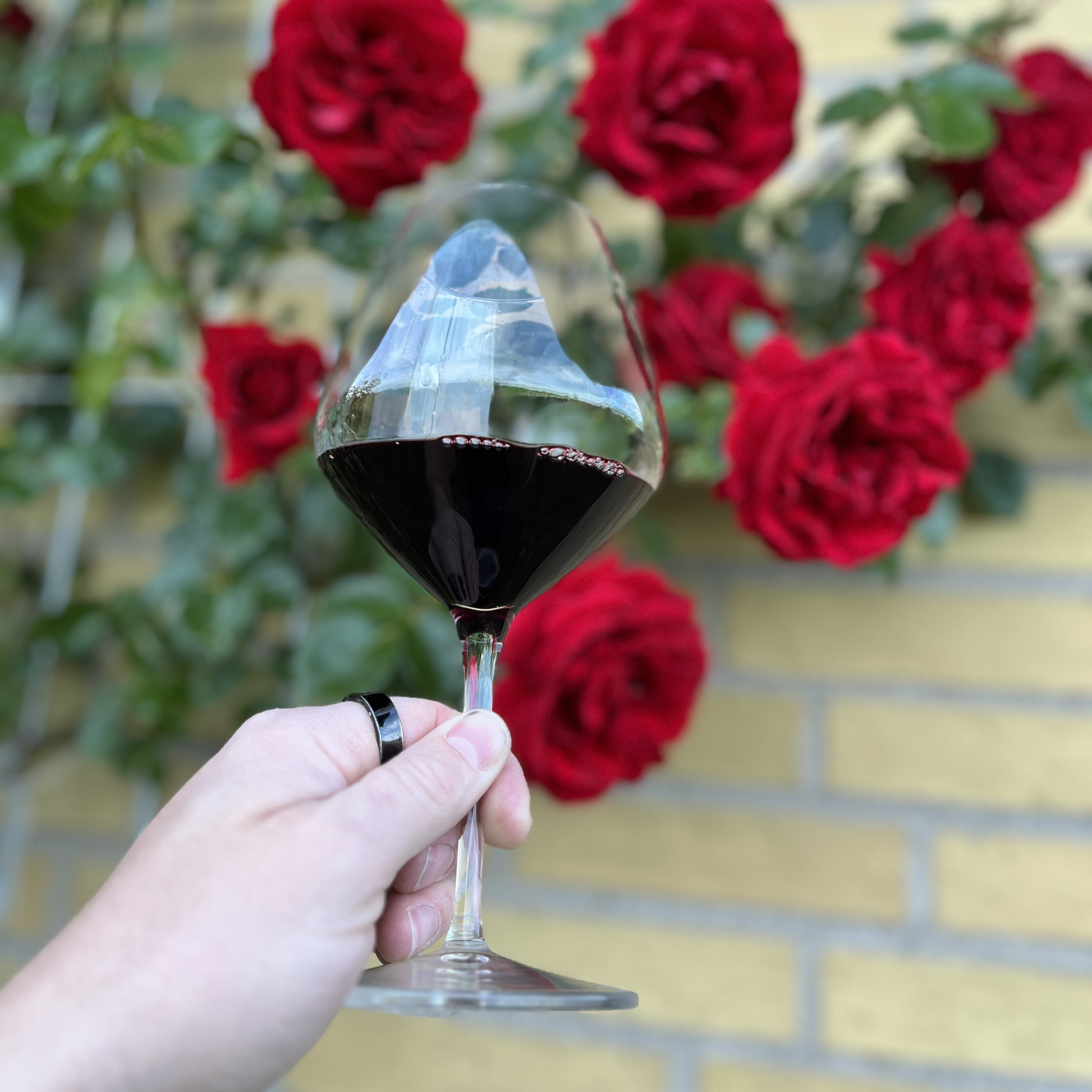 An alternative side-angle shot focusing on the elegant crystal wine glass filled with red wine, with the romantic red rose bush beautifully blurred in the distance.