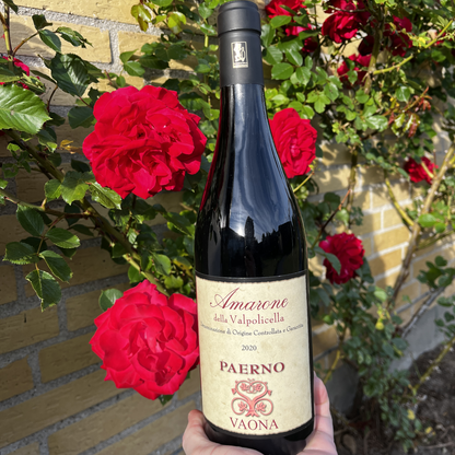 An alternative, dynamic angled close-up of a hand holding the bottle of Vaona Amarone Classico, showcasing the label clearly against a sharp, detailed background of red roses.