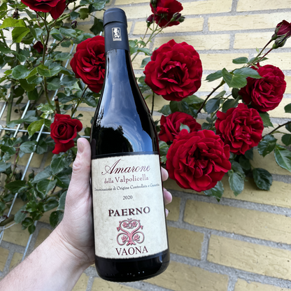 A distinct side perspective of a hand holding the Vaona Amarone wine bottle, captured in crisp detail with the vibrant green leaves and red roses of the bush in sharp focus.