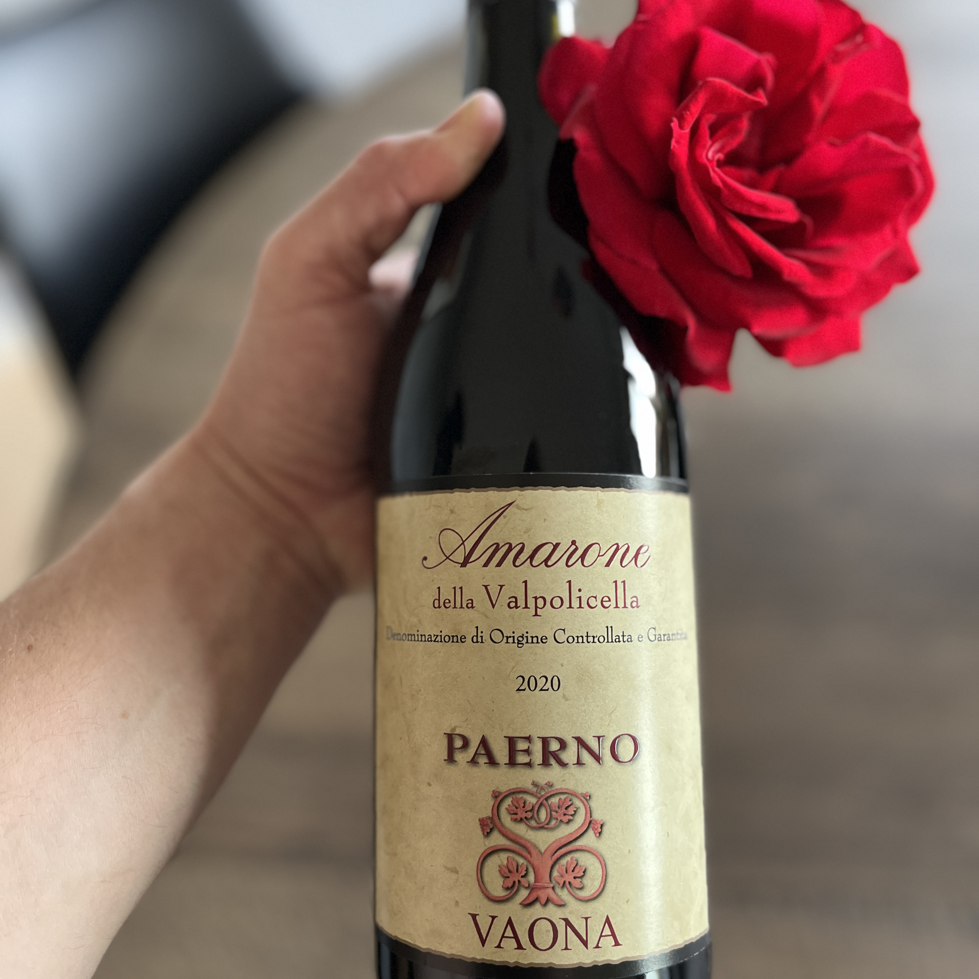 A hand delicately holds a bottle of Vaona Amarone della Valpolicella Classico, styled with a single red rose placed gracefully right next to the neck of the bottle.