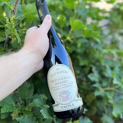 Ripasso della Valpolicella Classico Superiore DOC