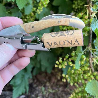 Ripasso della Valpolicella Classico Superiore DOC