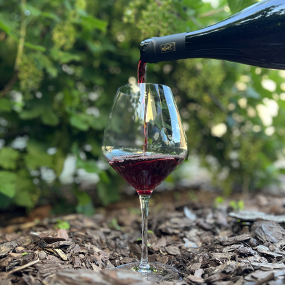 Ripasso della Valpolicella Classico Superiore DOC