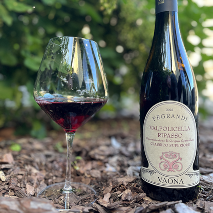 Ripasso della Valpolicella Classico Superiore DOC