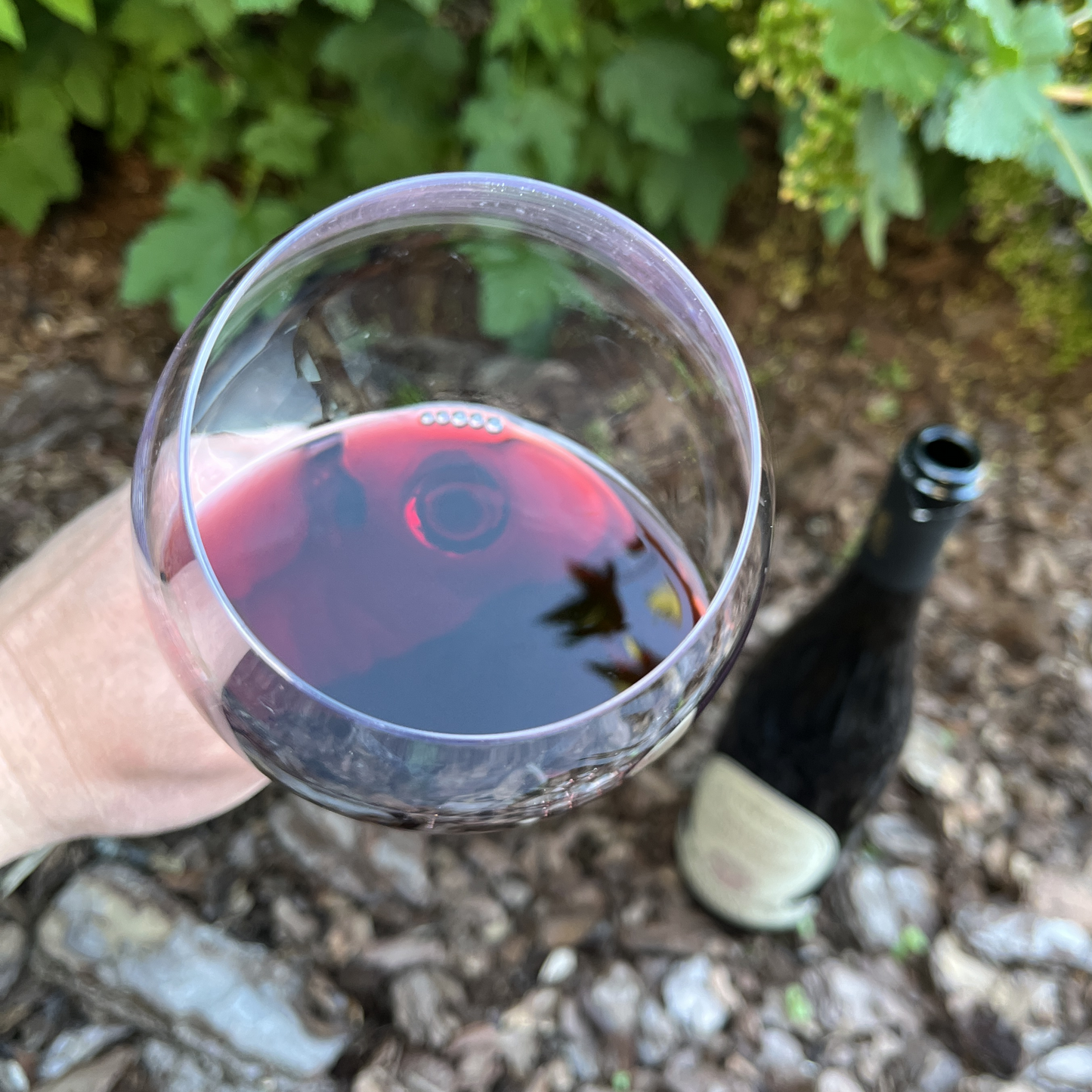 Ripasso della Valpolicella Classico Superiore DOC